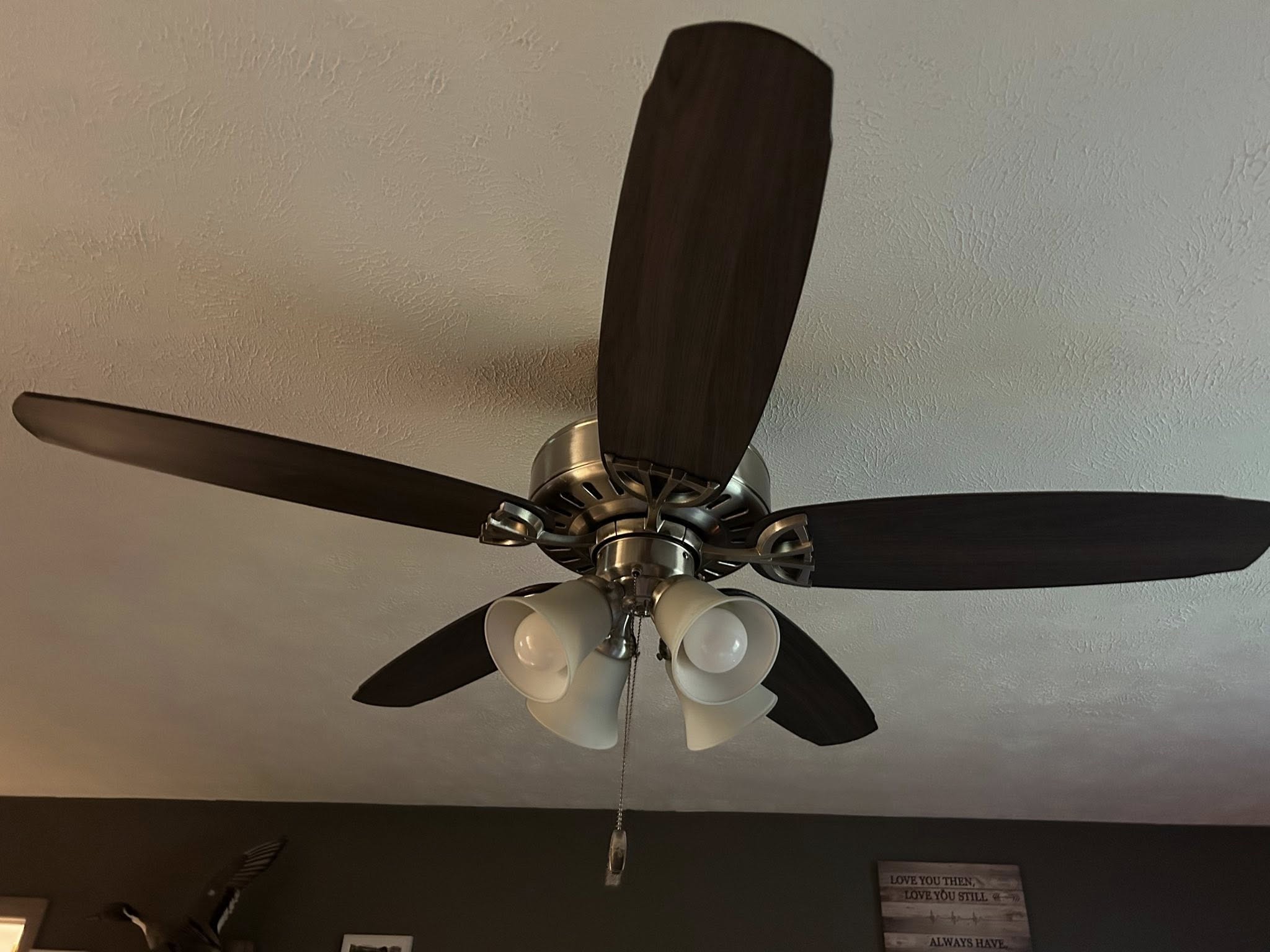 Ceiling fan detail